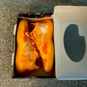 Harden basketball shoes, size 9 in decent condition with exclusive lamelo case